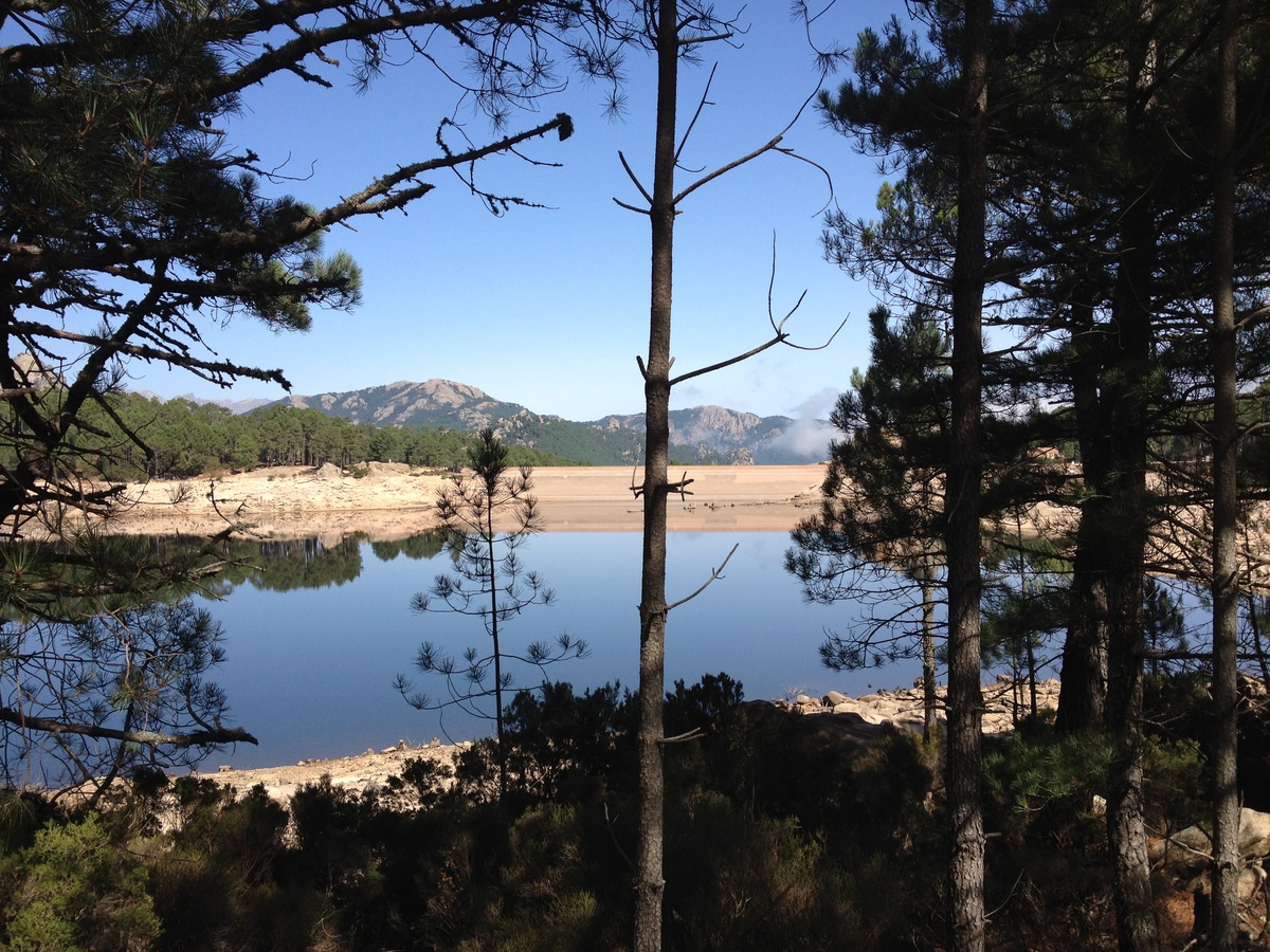รูปถ่าย ฝรั่งเศส(France) คอร์สิคา(Corsica) ป่าลอสเปดาเล(L'ospedale Forest) 2012-09 40