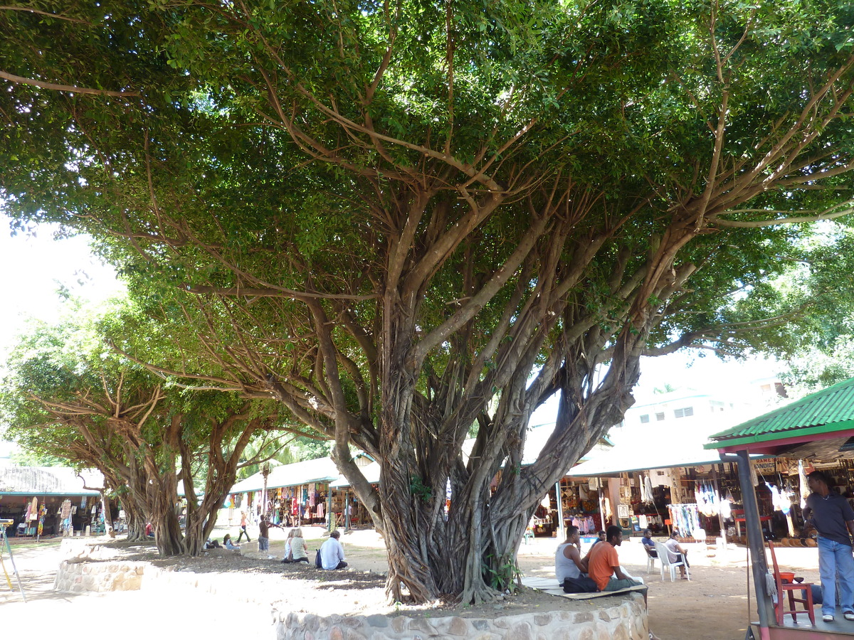 รูปถ่าย ฟิจิ(Fiji) นาดี(Nadi) 2010-05 26