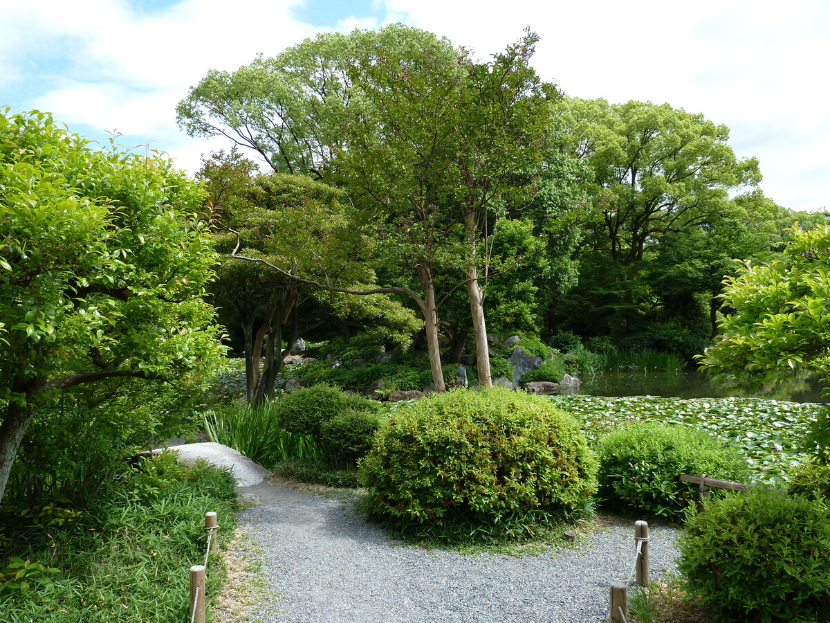 รูปถ่าย ญี่ปุ่น(Japan) เกียวโต(Kyoto) สวนโชเซเอ็ง(Shosei en Garden) 2010-06 56