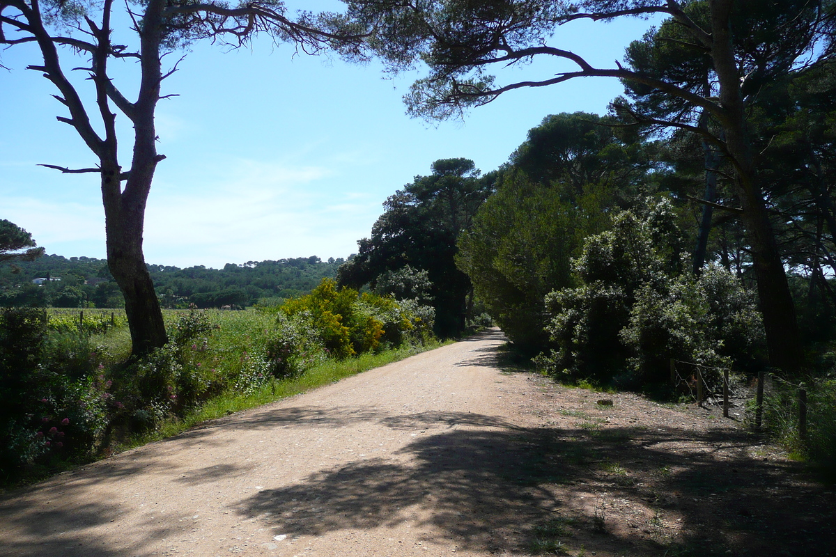 รูปถ่าย ฝรั่งเศส(France) เกาะปอร์เกอรอล(Porquerolles Island) ที่ราบกูร์ตาด(Plaine de la courtade) 2008-05 16