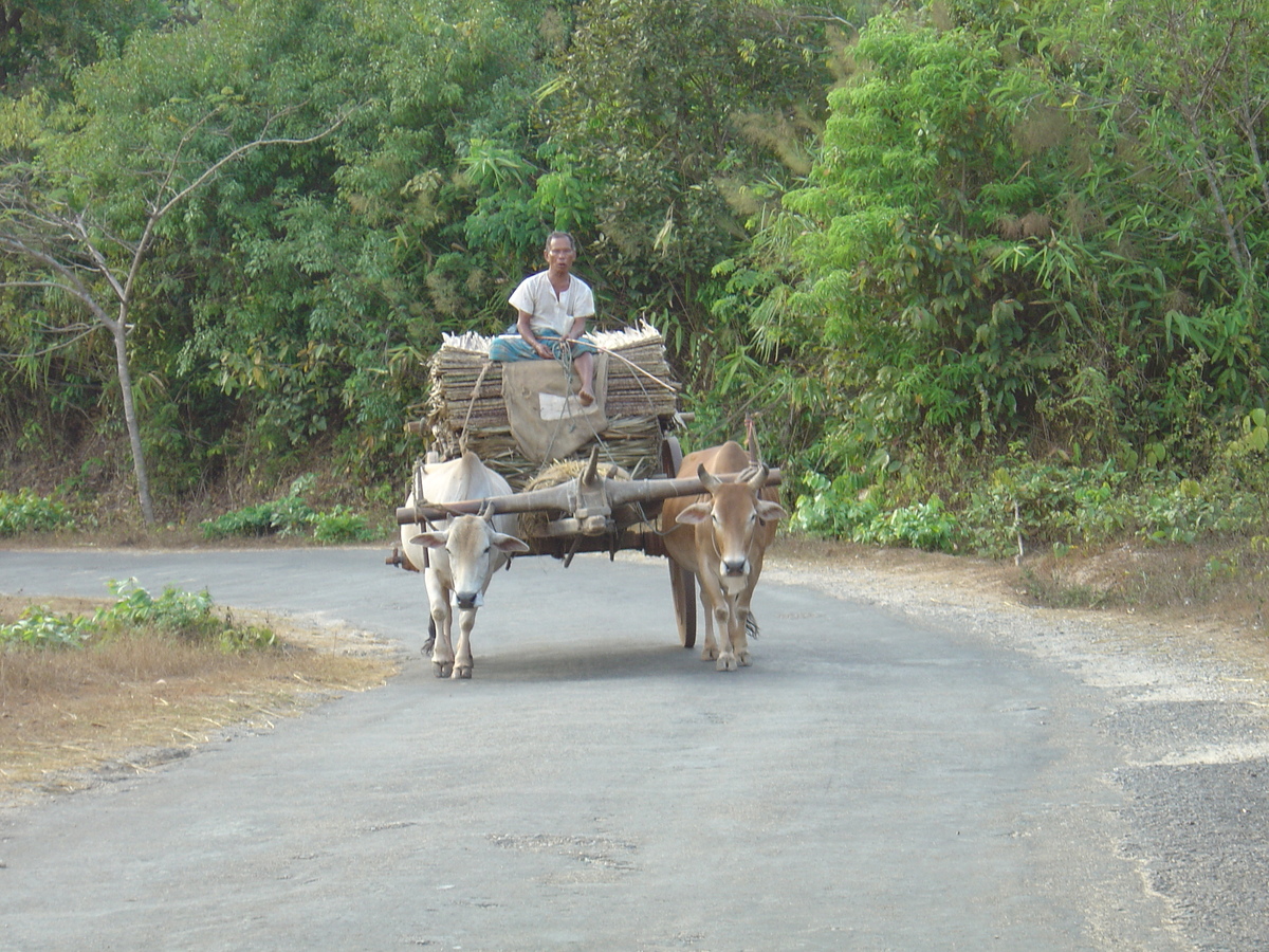 รูปถ่าย พม่า(Myanmar) ถนนจากทวายไปหาดหม่องมะกัน(Road from Dawei to Maungmagan beach) 2005-01 39