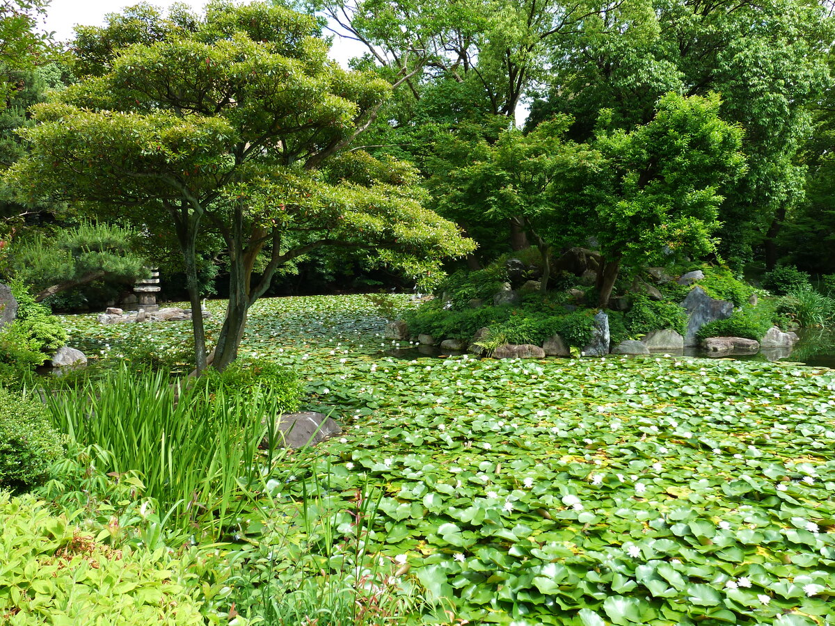 รูปถ่าย ญี่ปุ่น(Japan) เกียวโต(Kyoto) สวนโชเซเอ็ง(Shosei en Garden) 2010-06 59