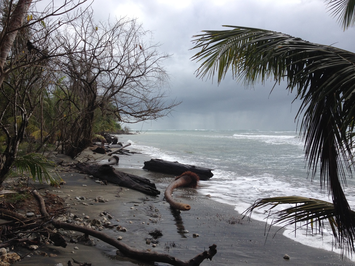 รูปถ่าย คอสตาริกา(Costa Rica) กาอุยตา(Cahuita) 2015-03 143