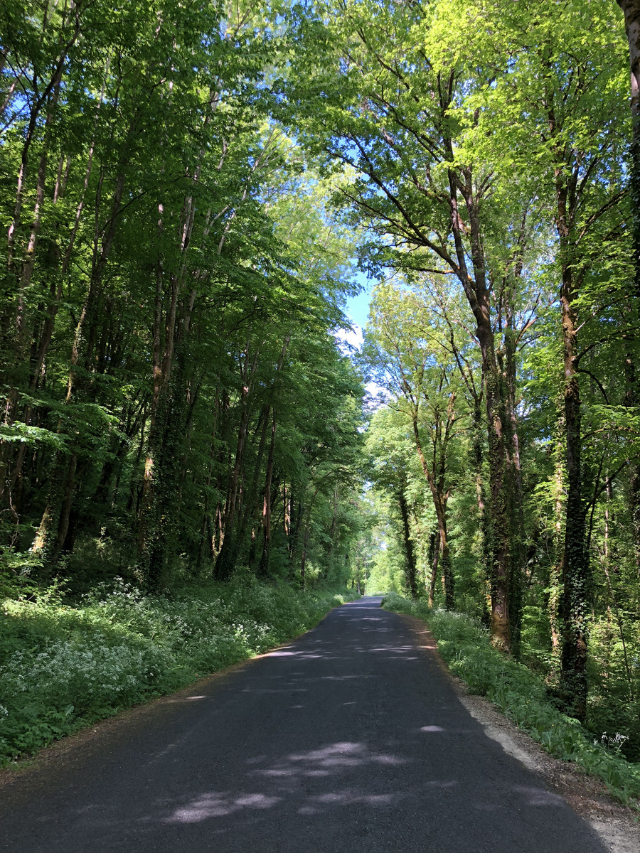 รูปถ่าย ฝรั่งเศส(France) ฟลัวรัก(Floirac) 2018-04 32