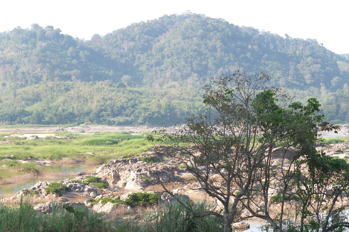 รูปถ่าย ไทย(Thailand) แม่น้ำโขง(Mekong river) 2012-12 233