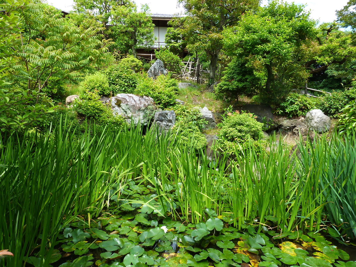 รูปถ่าย ญี่ปุ่น(Japan) เกียวโต(Kyoto) สวนโชเซเอ็ง(Shosei en Garden) 2010-06 81