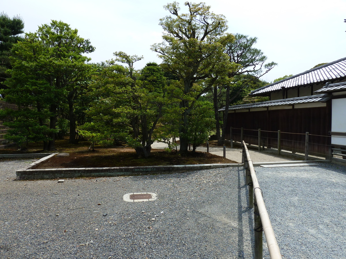 รูปถ่าย ญี่ปุ่น(Japan) เกียวโต(Kyoto) ปราสาทนิโจ(Nijo Castle) พระราชวังฮมมะรุ(Honmaru Palace) 2010-06 32