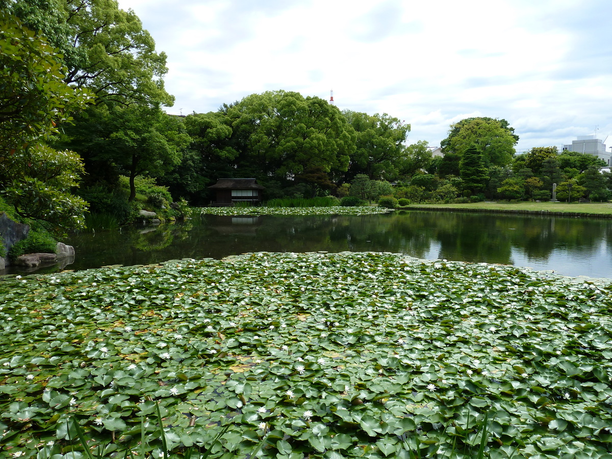 รูปถ่าย ญี่ปุ่น(Japan) เกียวโต(Kyoto) สวนโชเซเอ็ง(Shosei en Garden) 2010-06 71