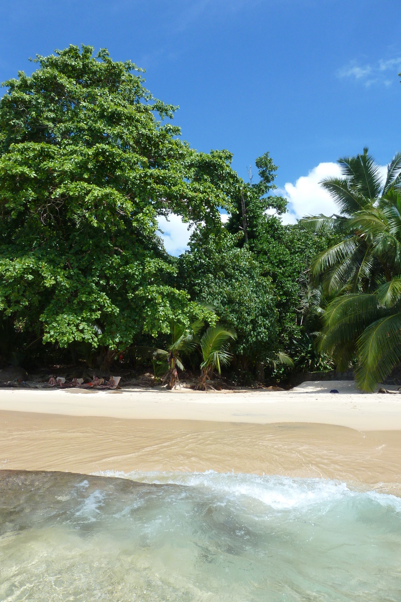 รูปถ่าย เซเชลส์(Seychelles) 2011-10 37