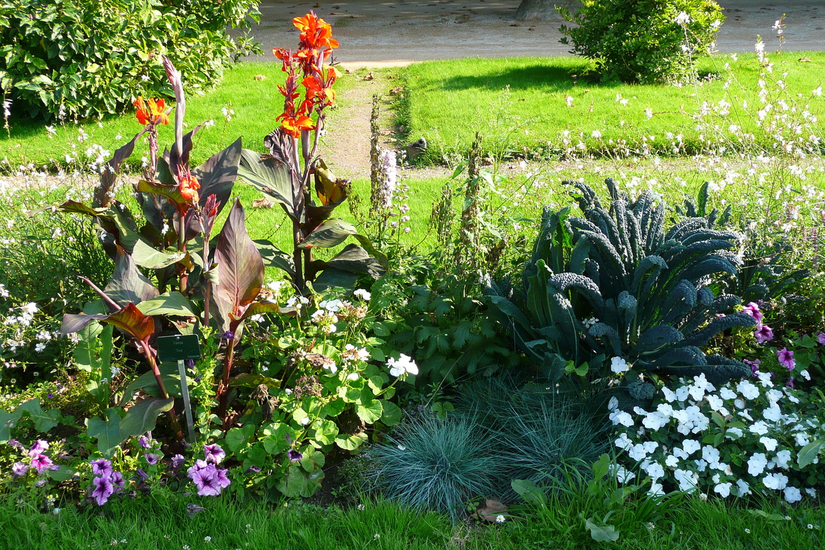 รูปถ่าย ฝรั่งเศส(France) ปารีส(Paris) สวนพันธ์ุพืช(Jardin des Plantes) 2007-08 192