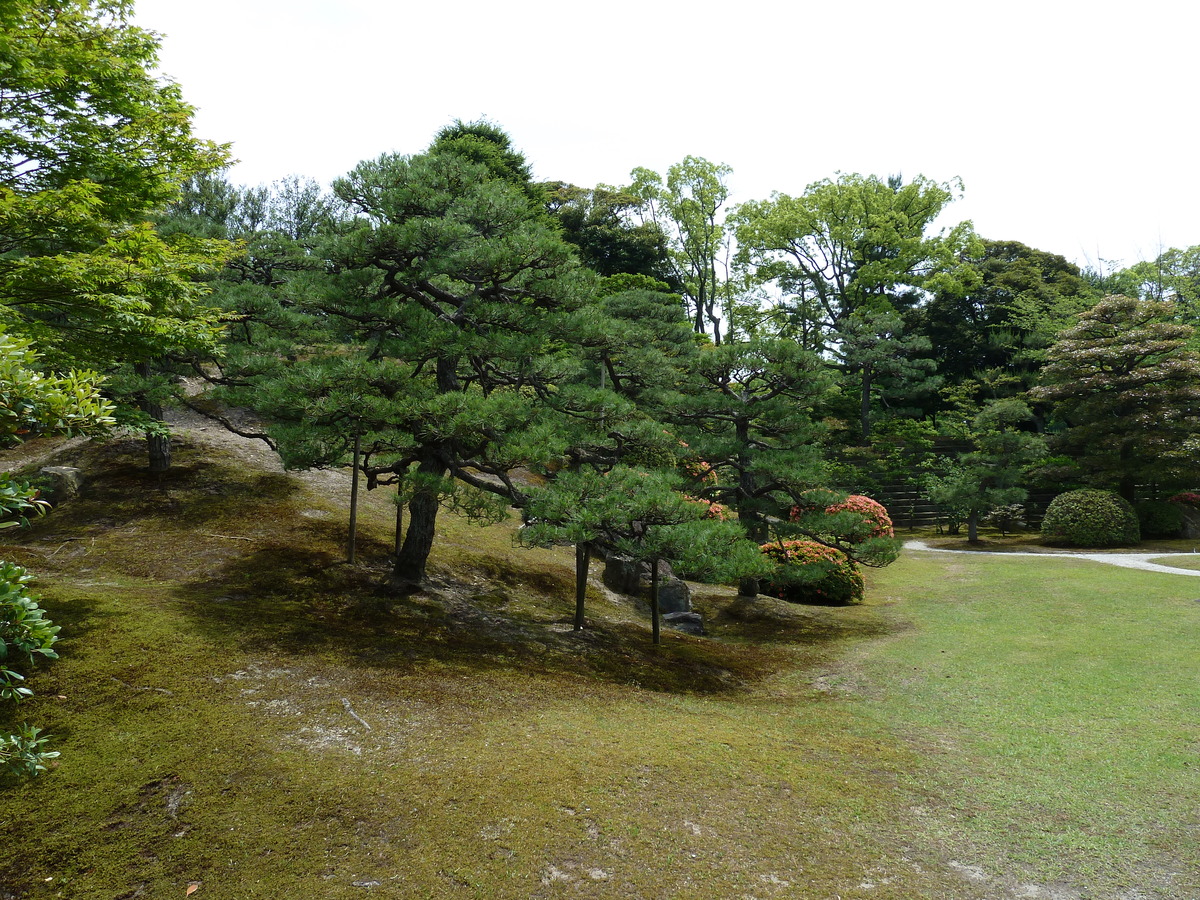 รูปถ่าย ญี่ปุ่น(Japan) เกียวโต(Kyoto) ปราสาทนิโจ(Nijo Castle) พระราชวังฮมมะรุ(Honmaru Palace) 2010-06 24
