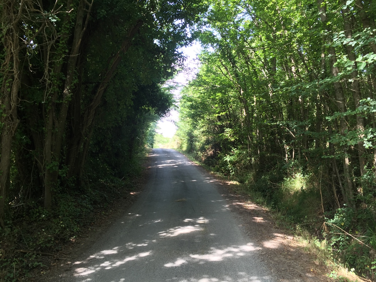 รูปถ่าย ฝรั่งเศส(France) เกาะแบล-อีล(Belle-Ile) 2016-08 176