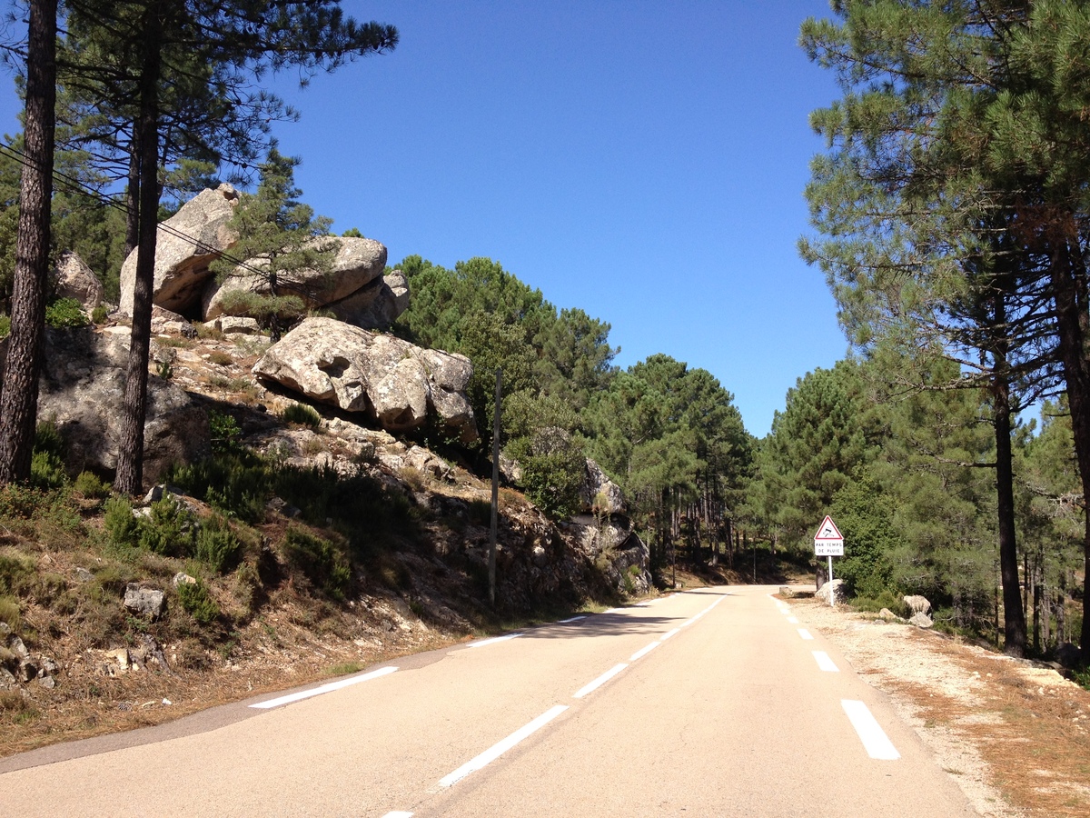 รูปถ่าย ฝรั่งเศส(France) คอร์สิคา(Corsica) ป่าลอสเปดาเล(L'ospedale Forest) 2012-09 27