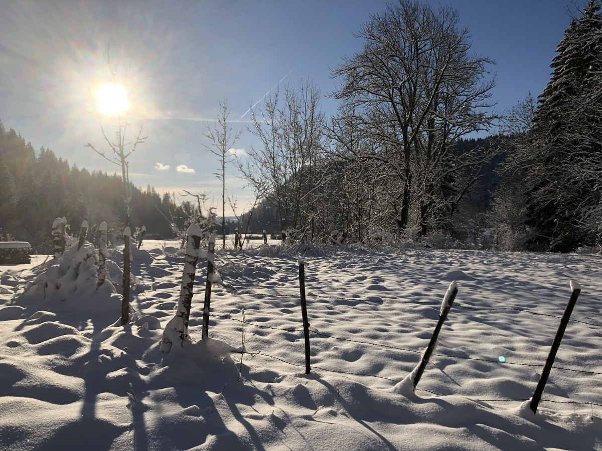 รูปถ่าย สวิสเซอร์แลนด์(Switzerland) ครองส์-มงตานา(Crans Montana) 2020-12 358