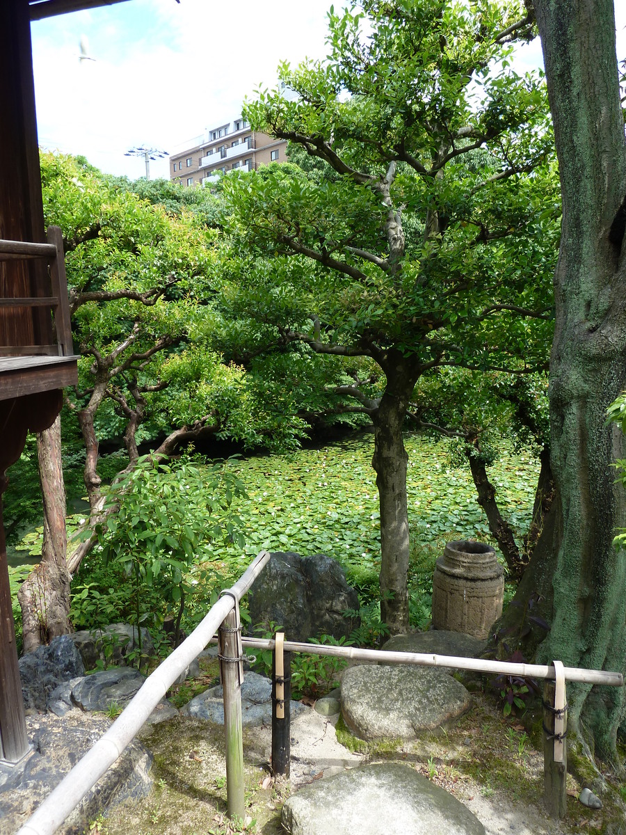 รูปถ่าย ญี่ปุ่น(Japan) เกียวโต(Kyoto) สวนโชเซเอ็ง(Shosei en Garden) 2010-06 33