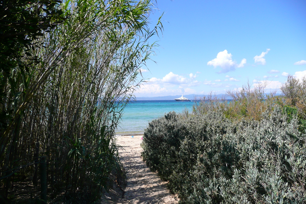 รูปถ่าย ฝรั่งเศส(France) เกาะปอร์เกอรอล(Porquerolles Island) ที่ราบกูร์ตาด(Plaine de la courtade) 2008-05 44