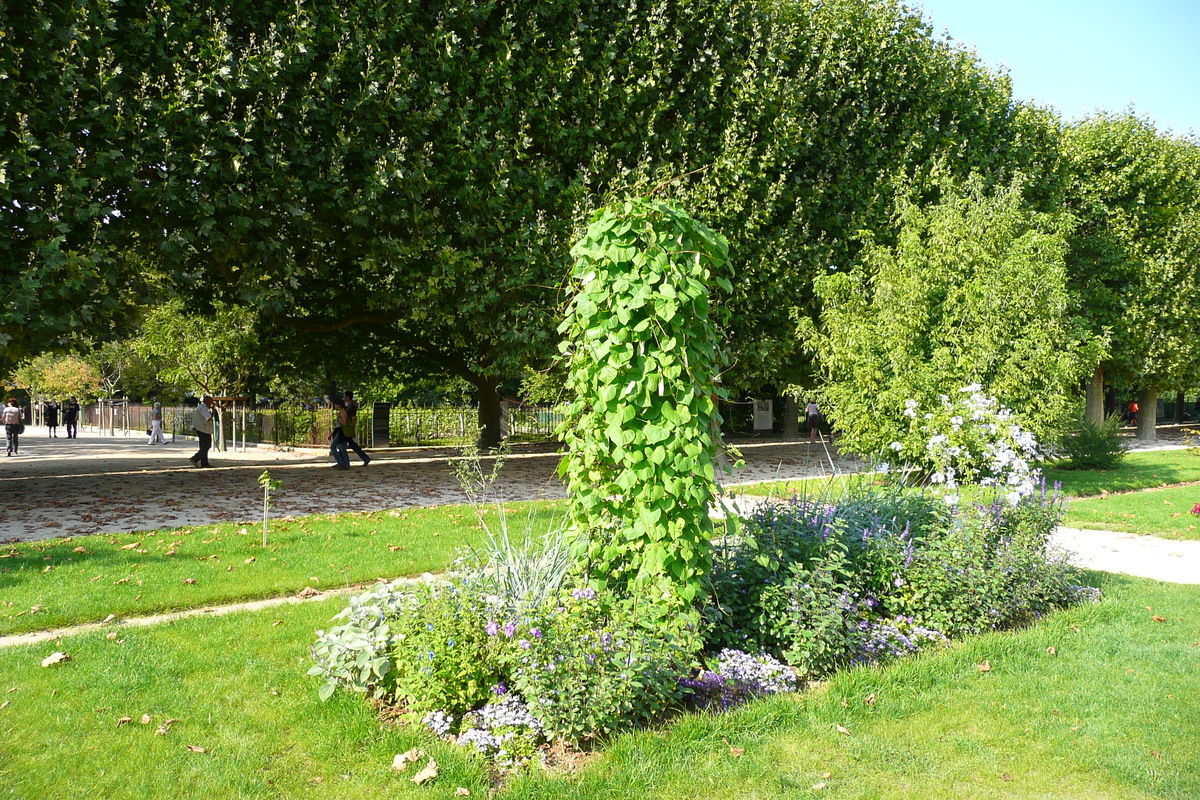 รูปถ่าย ฝรั่งเศส(France) ปารีส(Paris) สวนพันธ์ุพืช(Jardin des Plantes) 2007-08 51