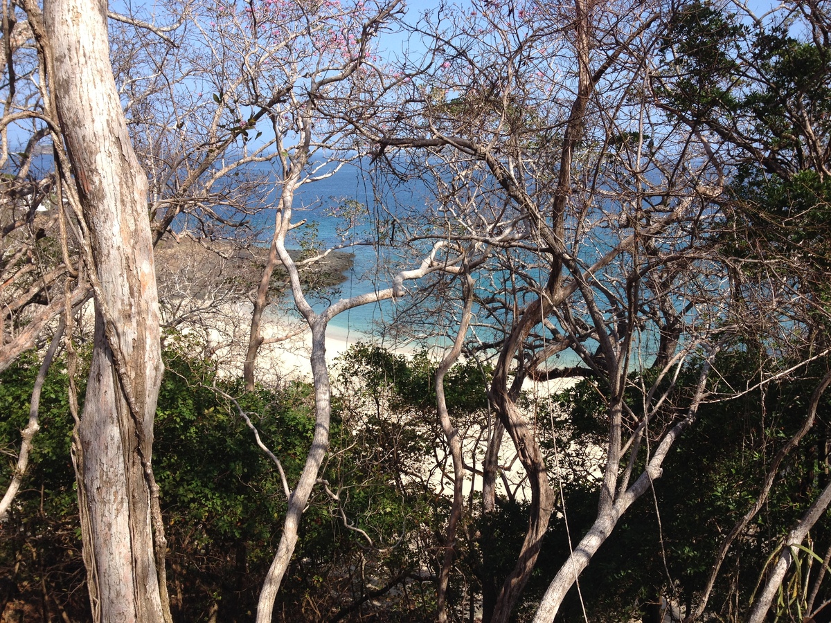 รูปถ่าย ปานามา(Panama) เกาะคอนตาโดรา(Contadora Island) 2015-03 28