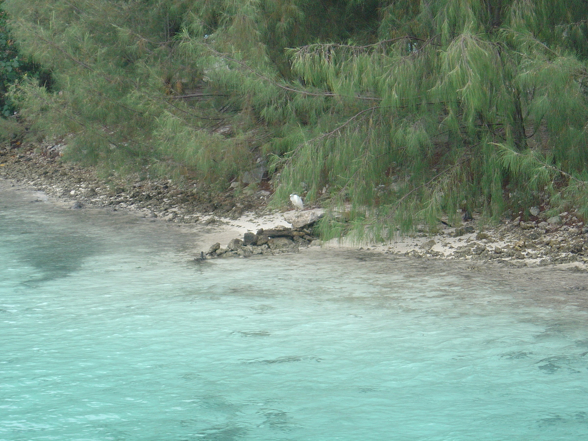 รูปถ่าย เฟรนช์โพลี่นีเซีย(Polynesia) โรงแรมเลอเมอริเดียน โบราโบรา(Meridien Bora Bora Hotel) 2006-04 92