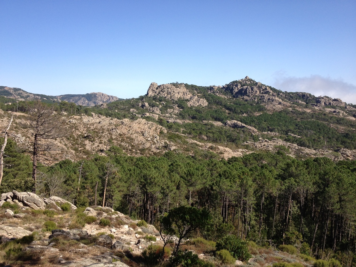 รูปถ่าย ฝรั่งเศส(France) คอร์สิคา(Corsica) ป่าลอสเปดาเล(L'ospedale Forest) 2012-09 9