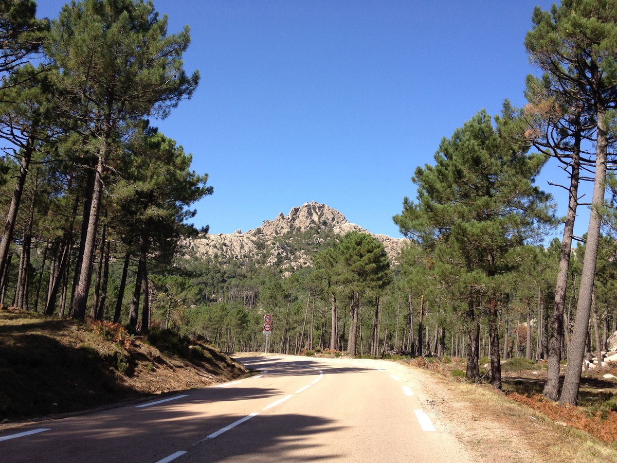รูปถ่าย ฝรั่งเศส(France) คอร์สิคา(Corsica) ป่าลอสเปดาเล(L'ospedale Forest) 2012-09 25