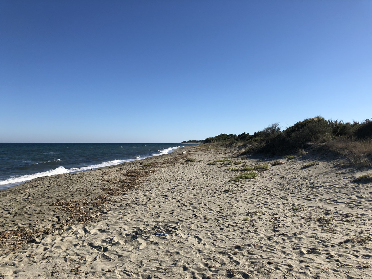 รูปถ่าย ฝรั่งเศส(France) คอร์สิคา(Corsica) ซานจูเลียโน(San Giuliano) 2018-09 25