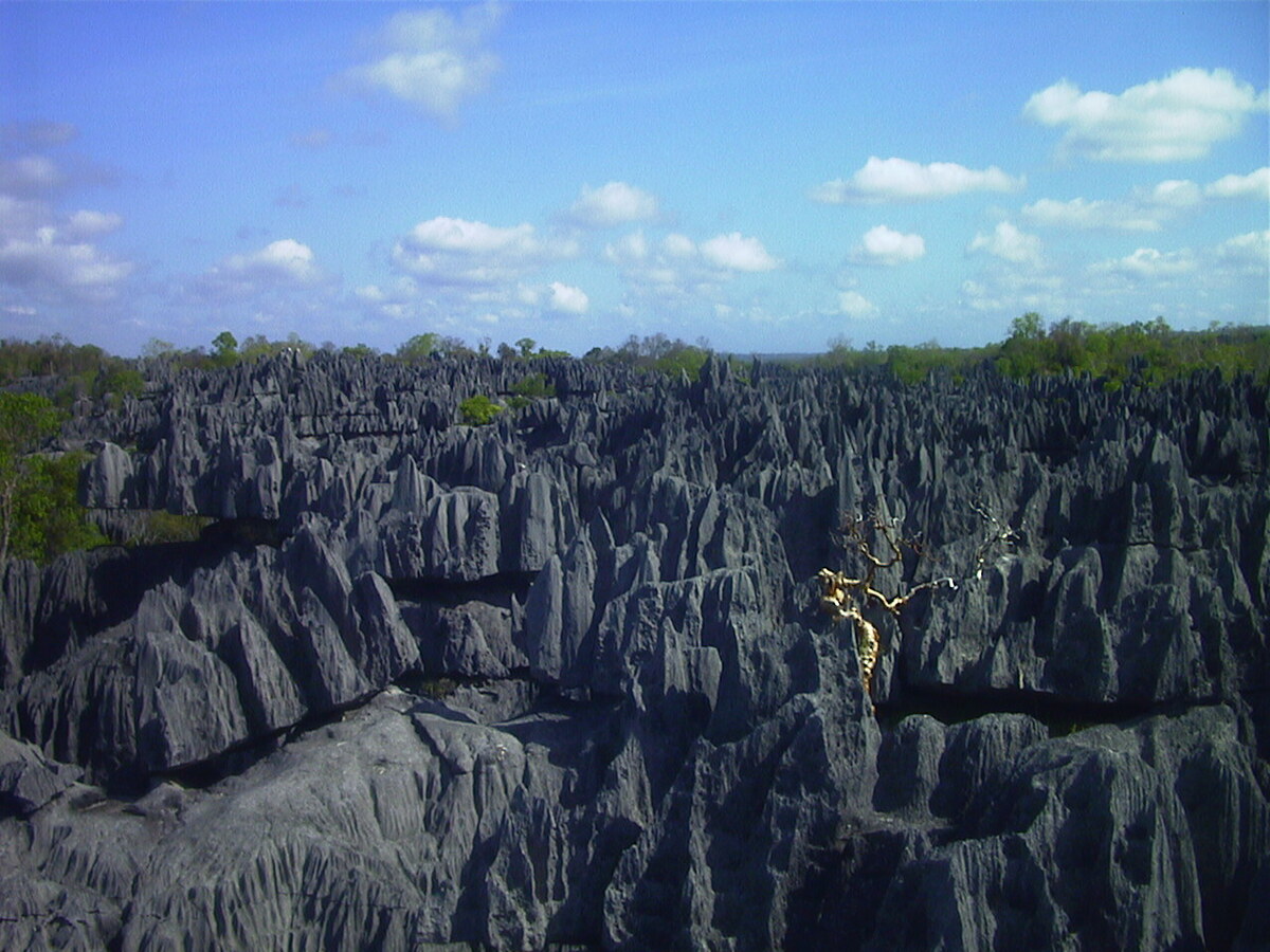 รูปถ่าย มาดากัสการ์(Madagascar) ทีซินกี(Tsingy) 1999-10 23