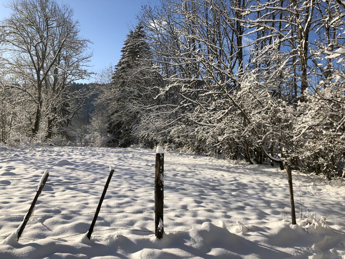 รูปถ่าย สวิสเซอร์แลนด์(Switzerland) ครองส์-มงตานา(Crans Montana) 2020-12 488