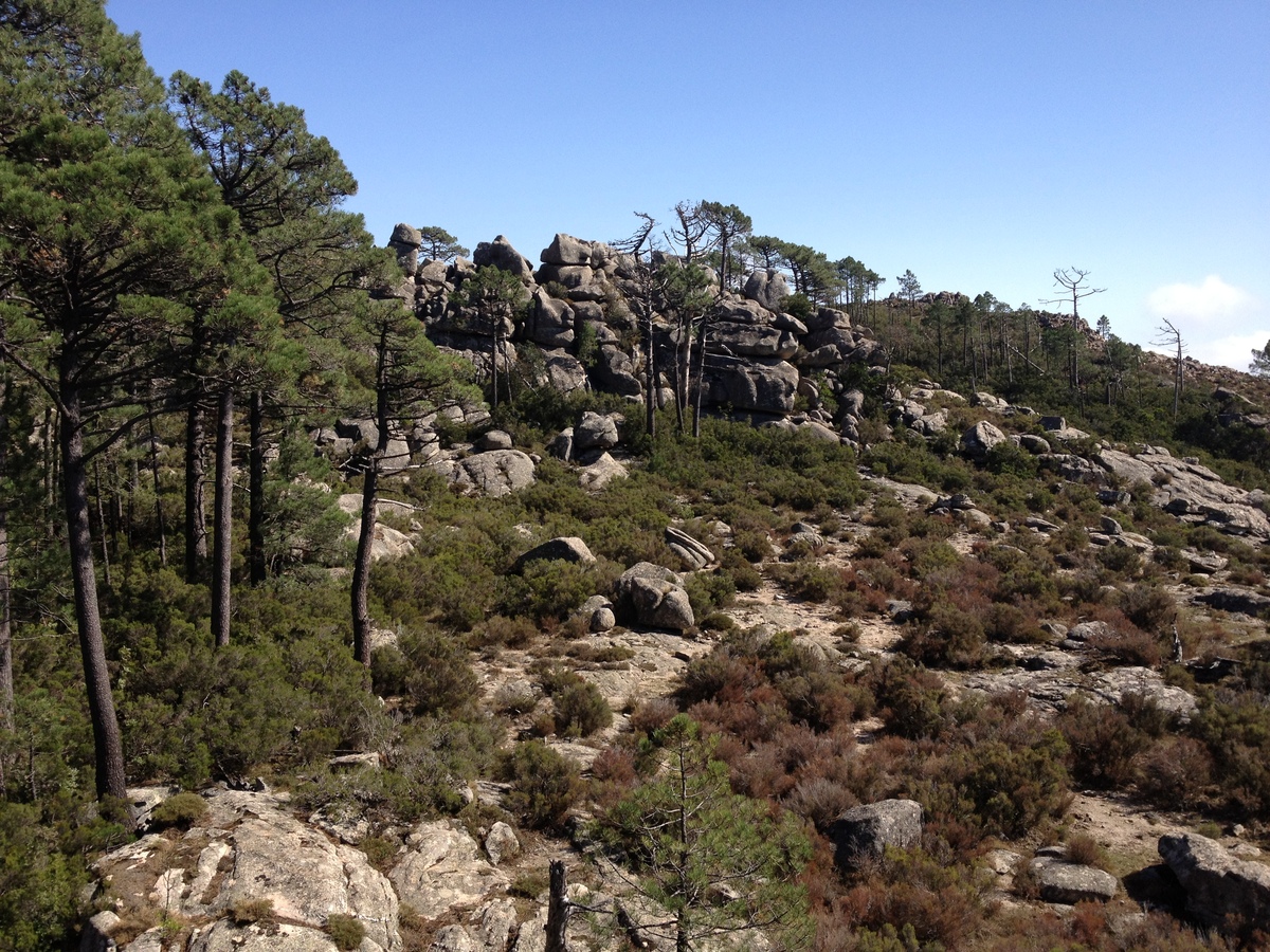 รูปถ่าย ฝรั่งเศส(France) คอร์สิคา(Corsica) ป่าลอสเปดาเล(L'ospedale Forest) 2012-09 50