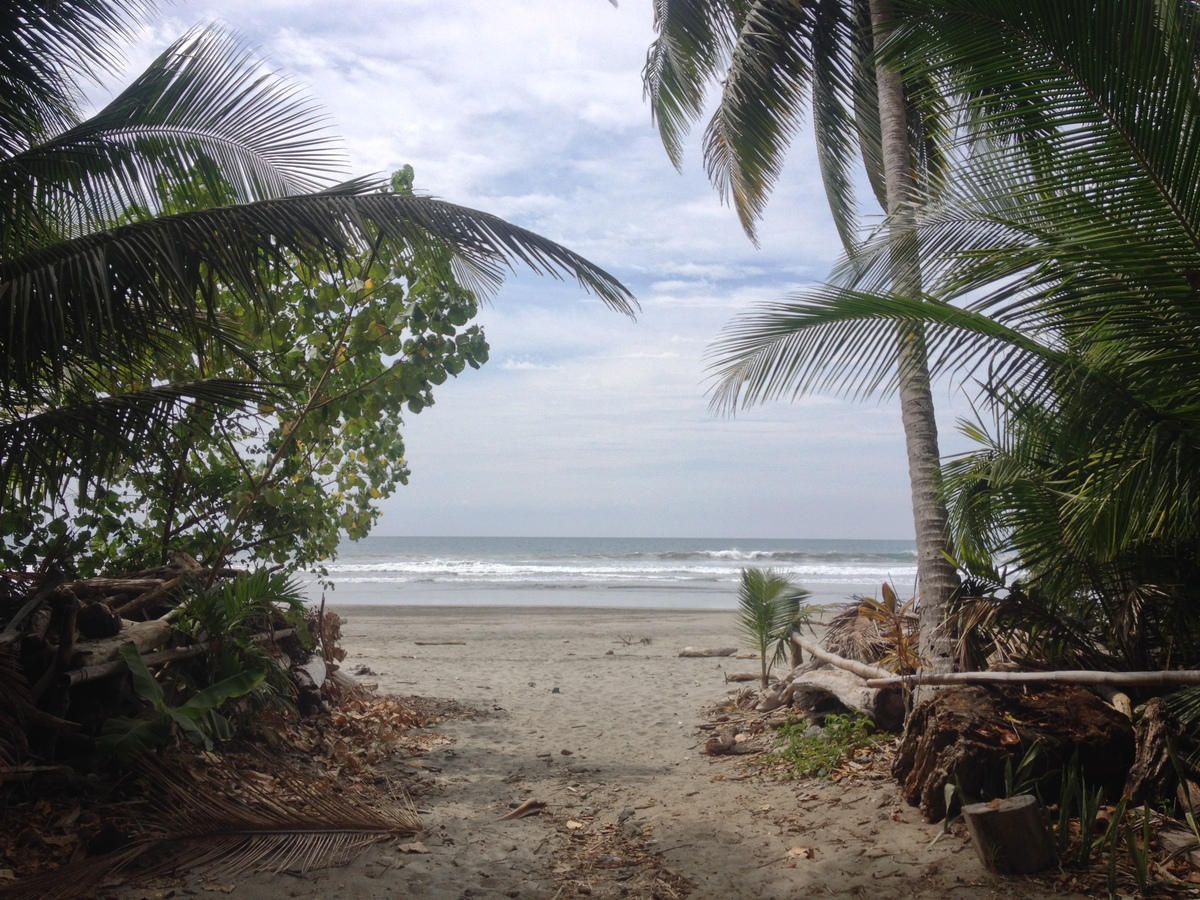 รูปถ่าย คอสตาริกา(Costa Rica) มอนเตซูมา(Montezuma) 2015-03 284