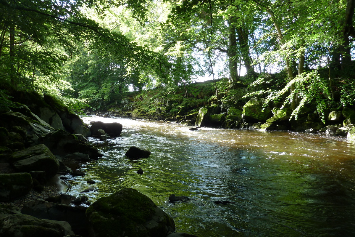 รูปถ่าย อังกฤษ(United Kingdom) สกอตแลนด์(Scotland) ฮันต์ลี(Huntly) 2011-07 0