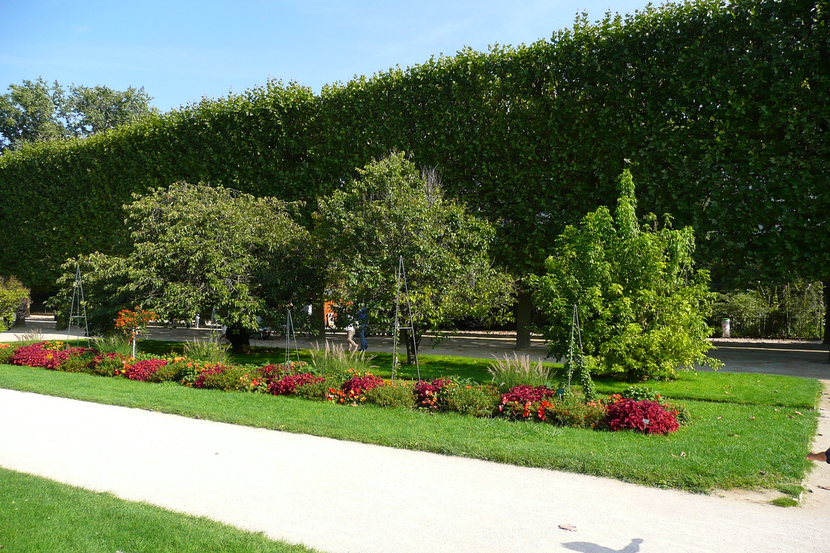 รูปถ่าย ฝรั่งเศส(France) ปารีส(Paris) สวนพันธ์ุพืช(Jardin des Plantes) 2007-08 190
