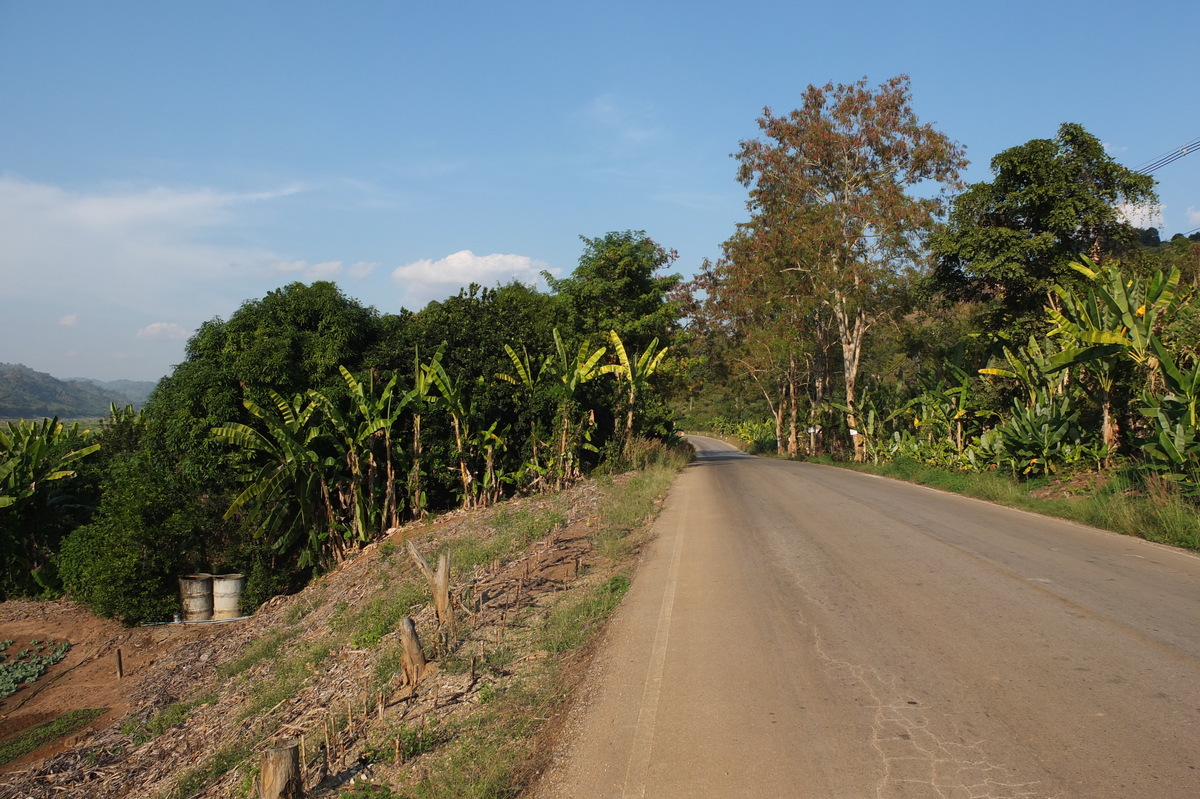 รูปถ่าย ไทย(Thailand) แม่น้ำโขง(Mekong river) 2012-12 159
