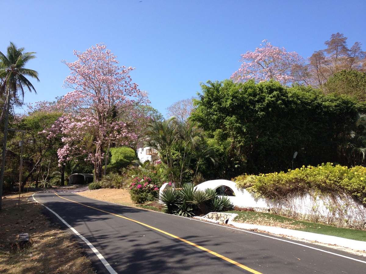 รูปถ่าย ปานามา(Panama) เกาะคอนตาโดรา(Contadora Island) 2015-03 165