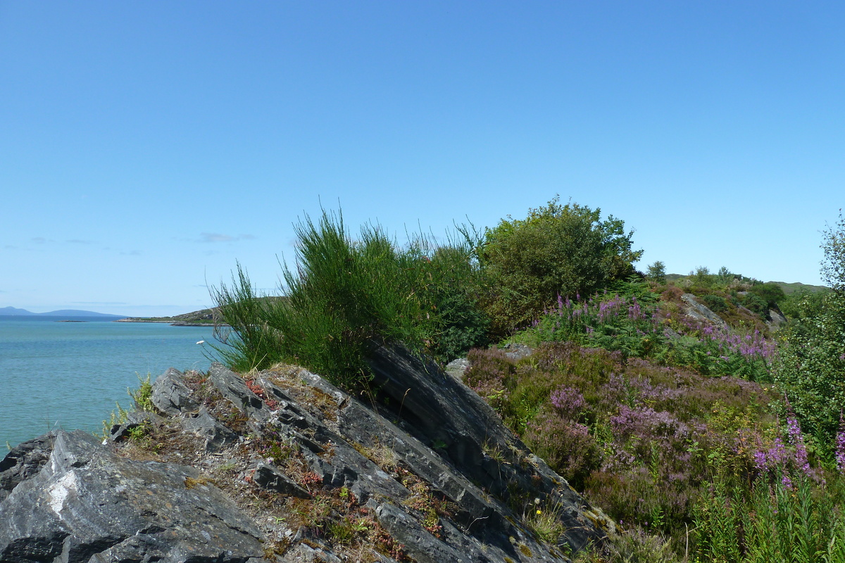 รูปถ่าย อังกฤษ(United Kingdom) สกอตแลนด์(Scotland) ชายฝั่งแอริเซก(Arisaig coast) 2011-07 97