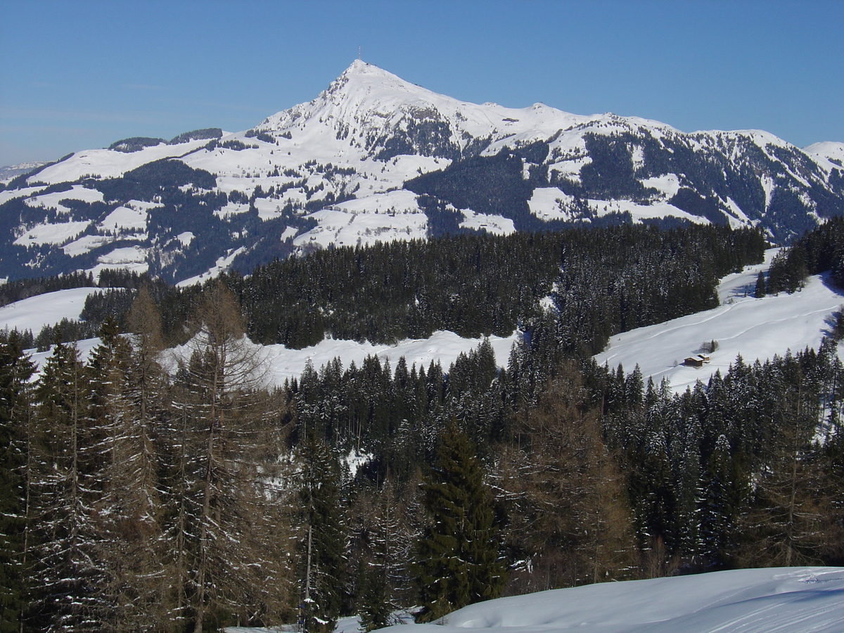 รูปถ่าย ออสเตรีย(Austria) คิทซ์บูเฮล(Kitzbuhel) สกี(Ski) 2005-03 153