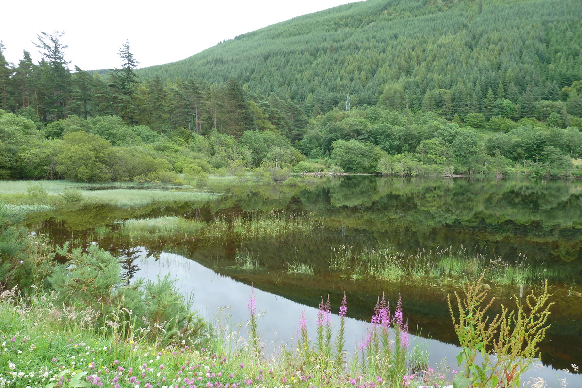 รูปถ่าย อังกฤษ(United Kingdom) สกอตแลนด์(Scotland) ถนนจากทะเลสาบลอคลากันไปทะเลสาบล็อกเนสส์(Loch Laggan to Loch Ness road) 2011-07 12