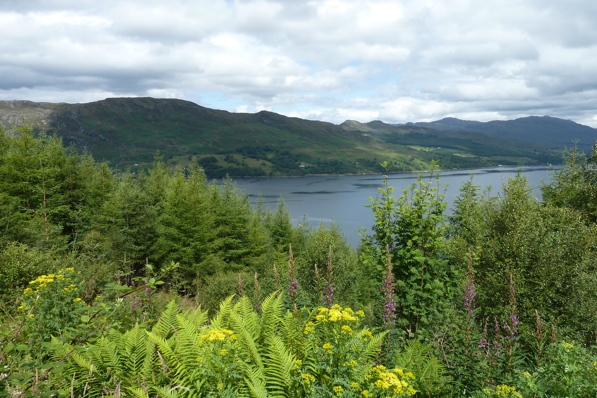 รูปถ่าย อังกฤษ(United Kingdom) สกอตแลนด์(Scotland) 2011-07 25