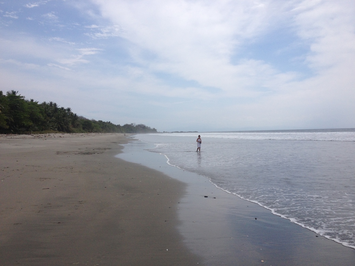 รูปถ่าย คอสตาริกา(Costa Rica) มอนเตซูมา(Montezuma) 2015-03 235