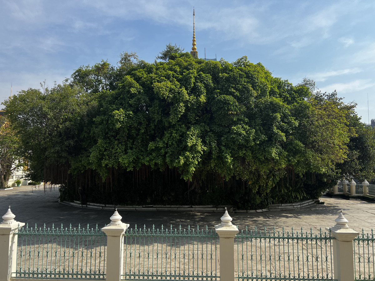 รูปถ่าย กัมพูชา(Cambodia) พนมเปญ(Phnom Penh) พระราชวัง(Royal Palace) 2024-01 66
