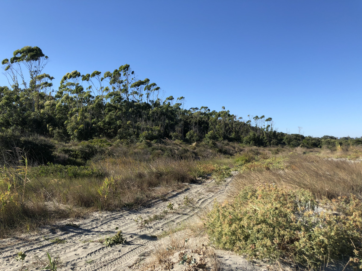 รูปถ่าย ฝรั่งเศส(France) คอร์สิคา(Corsica) ซานจูเลียโน(San Giuliano) 2018-09 24