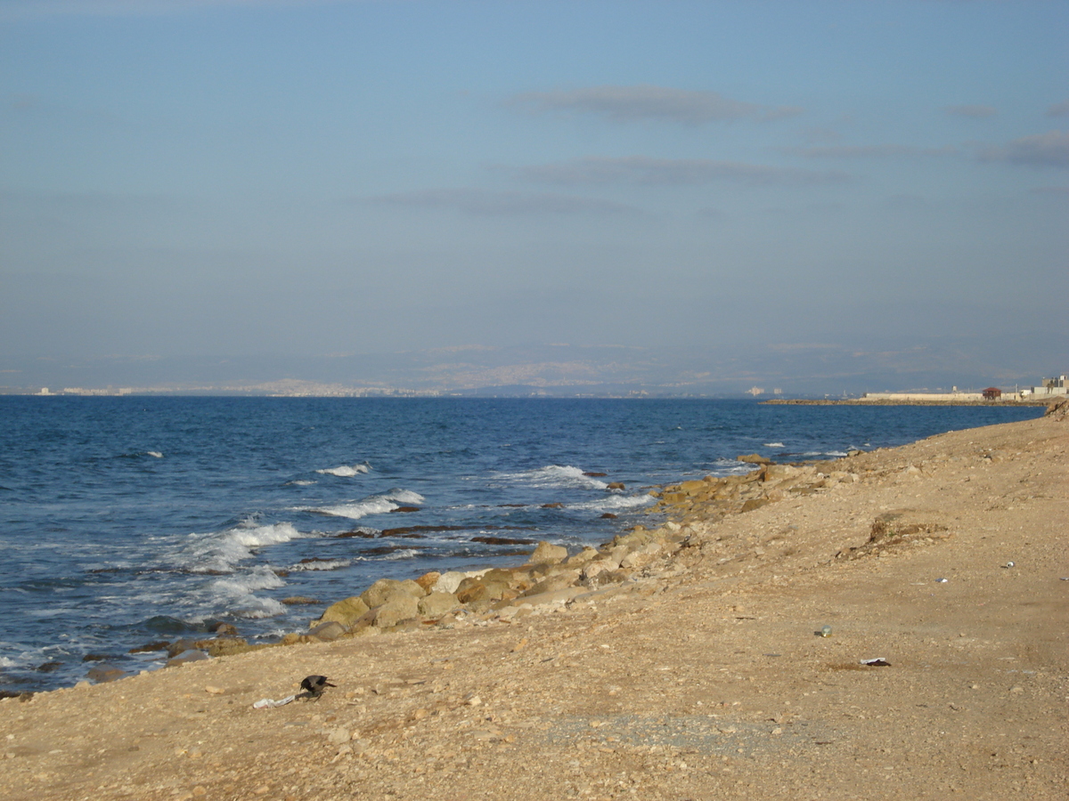 รูปถ่าย อิสราเอล(Israel) ไฮฟา(Haifa) 2006-12 14