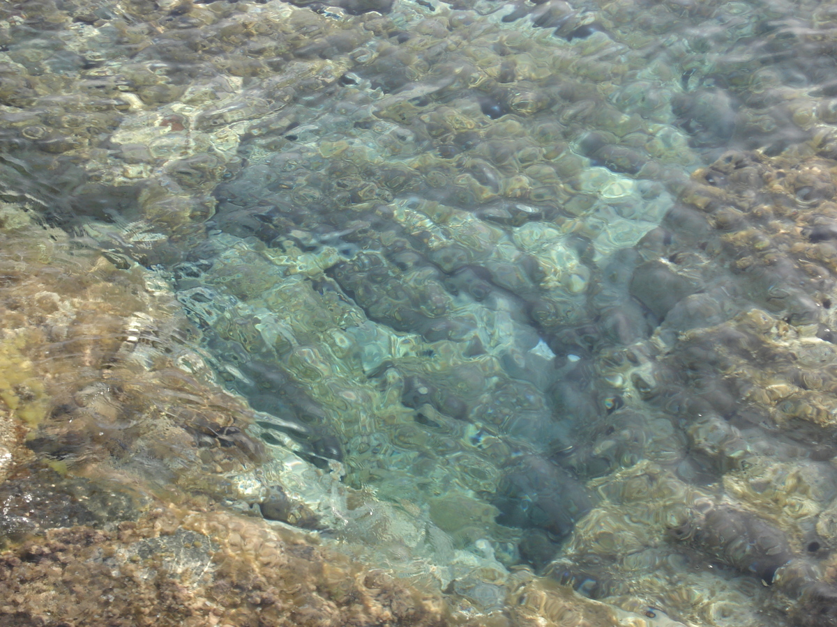 รูปถ่าย ฝรั่งเศส(France) คอร์สิคา(Corsica) ลูมิโอ่(Lumio) 2006-09 26
