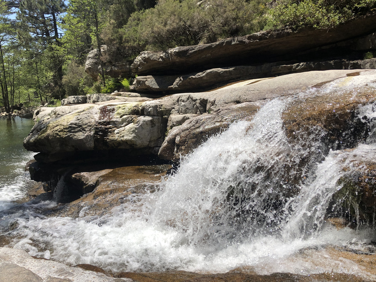รูปถ่าย ฝรั่งเศส(France) คอร์สิคา(Corsica) ป่าไอโตเน(Aitone Forest) 2021-06 41
