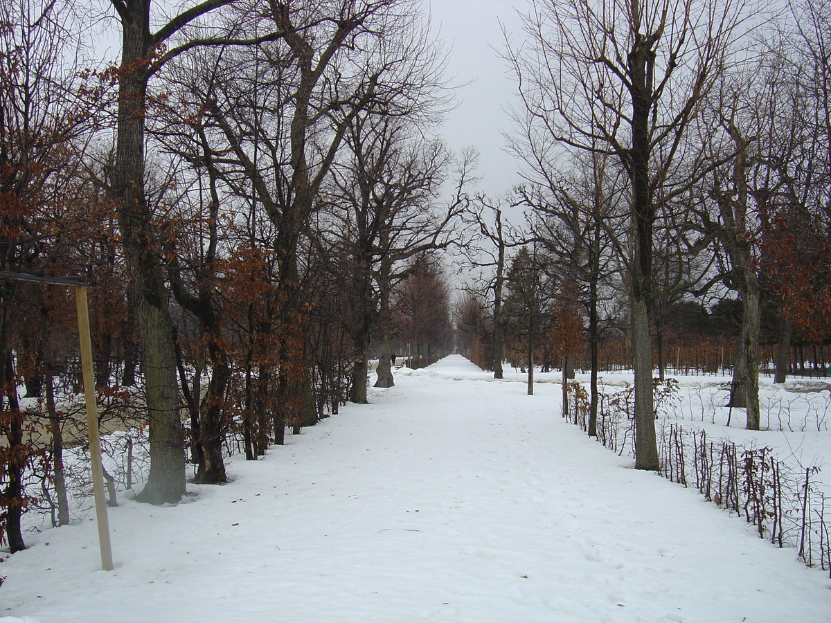 รูปถ่าย ออสเตรีย(Austria) เวียนนา(Vienna) 2005-03 2