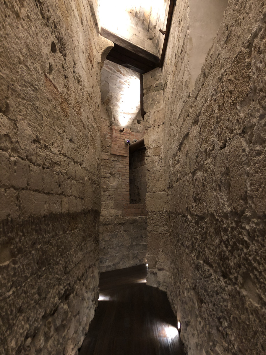 รูปถ่าย อิตาลี(Italy) ซิซิลี(Sicily) ปาแลร์โม(Palermo) วังเดย์นอร์มันนี(Palazzo dei Normanni) 2020-02 8