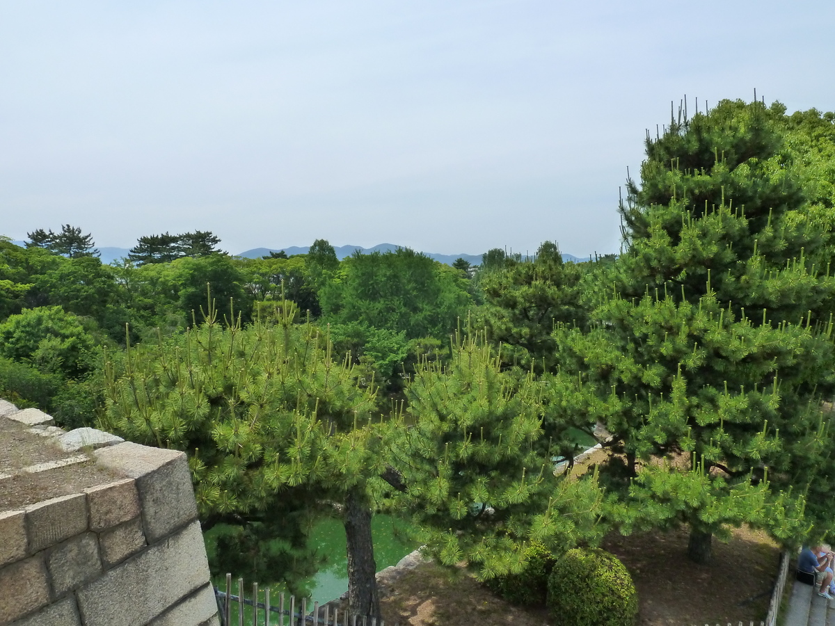 รูปถ่าย ญี่ปุ่น(Japan) เกียวโต(Kyoto) ปราสาทนิโจ(Nijo Castle) พระราชวังฮมมะรุ(Honmaru Palace) 2010-06 14