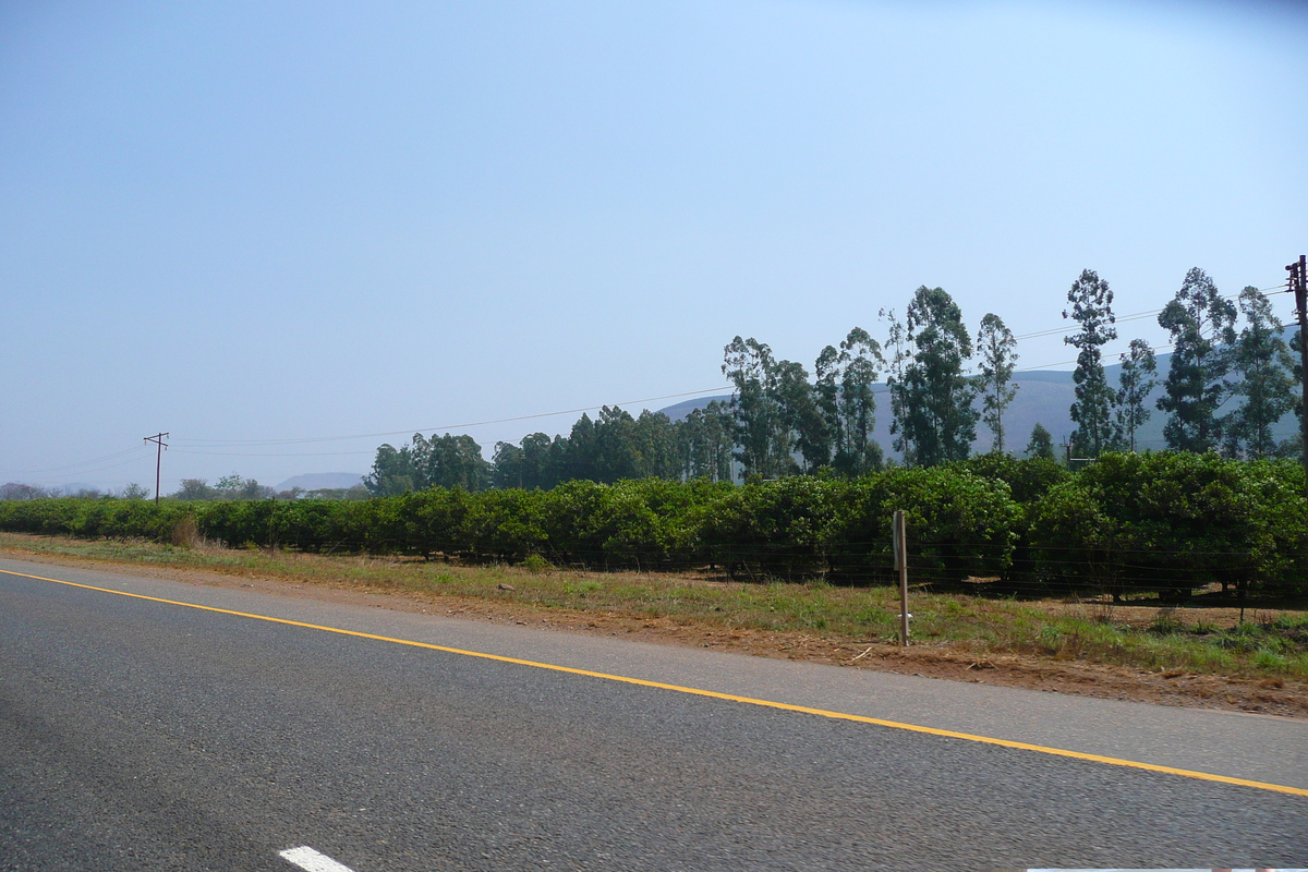 รูปถ่าย แอฟริกาใต้(South Africa) ถนนจากเนลสปรุตไปโจฮันเนสเบิร์ก(Nelspruit to Johannesburg road) 2008-09 16