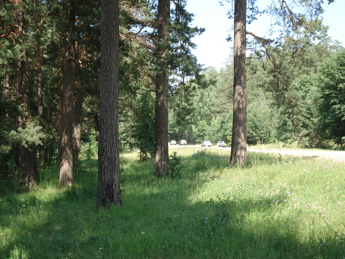 รูปถ่าย รัสเซีย(Russia) อูรัล(Ural) 2006-07 20