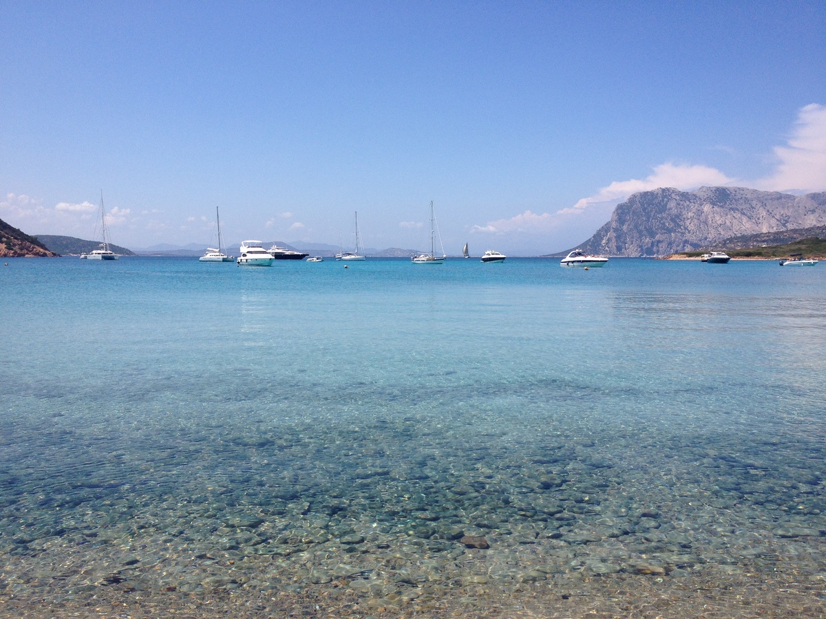 รูปถ่าย อิตาลี(Italy) ซาร์ดิเนีย(Sardinia) แหลมกาโปโกดากาวัลโล(Capo Coda Cavallo) 2015-06 40